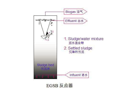 厭氧膨脹顆粒污泥床（EGSB）反應(yīng)器