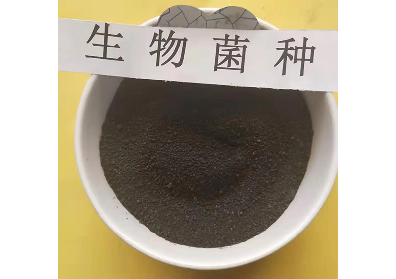 污水處理專(zhuān)用菌種（第三代污水處理菌）